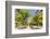 Spain, Andalusia, Seville. Patio De Los Naranjos in the Cathedral and Giralda Tower-Matteo Colombo-Framed Photographic Print