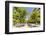 Spain, Andalusia, Seville. Patio De Los Naranjos in the Cathedral and Giralda Tower-Matteo Colombo-Framed Photographic Print