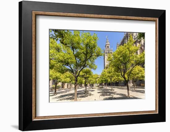 Spain, Andalusia, Seville. Patio De Los Naranjos in the Cathedral and Giralda Tower-Matteo Colombo-Framed Photographic Print