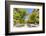 Spain, Andalusia, Seville. Patio De Los Naranjos in the Cathedral and Giralda Tower-Matteo Colombo-Framed Photographic Print