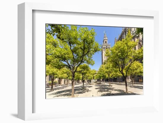 Spain, Andalusia, Seville. Patio De Los Naranjos in the Cathedral and Giralda Tower-Matteo Colombo-Framed Photographic Print