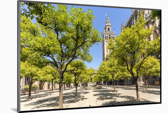 Spain, Andalusia, Seville. Patio De Los Naranjos in the Cathedral and Giralda Tower-Matteo Colombo-Mounted Photographic Print