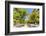 Spain, Andalusia, Seville. Patio De Los Naranjos in the Cathedral and Giralda Tower-Matteo Colombo-Framed Photographic Print