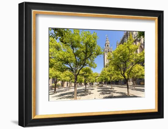 Spain, Andalusia, Seville. Patio De Los Naranjos in the Cathedral and Giralda Tower-Matteo Colombo-Framed Photographic Print