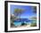 Spain, Balearic Islands, Ibiza, Cala Salada Beach-Michele Falzone-Framed Photographic Print