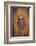 Spain, Balearic Islands, Mallorca, door knockers.-Emily Wilson-Framed Photographic Print