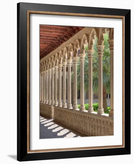 Spain, Balearic Islands, Mallorca, Palma De Mallorca, Basilica De Sant Francesc, Cloister-Michele Falzone-Framed Photographic Print