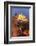 Spain, Balearic Islands, Mallorca, Palma de Mallorca. La Seu, Gothic Cathedral.-Emily Wilson-Framed Photographic Print