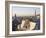 Spain, Barcelona, Guell Park, the Terrace-Steve Vidler-Framed Photographic Print