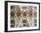 Spain, Barcelona, Sagrada Familia, Interior-Steve Vidler-Framed Photographic Print