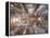 Spain, Barcelona, Sagrada Familia, Interior-Steve Vidler-Framed Premier Image Canvas