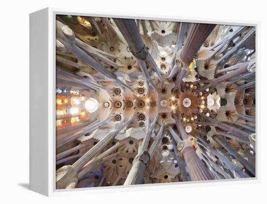 Spain, Barcelona, Sagrada Familia, Interior-Steve Vidler-Framed Premier Image Canvas