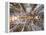 Spain, Barcelona, Sagrada Familia, Interior-Steve Vidler-Framed Premier Image Canvas