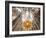 Spain, Barcelona, Sagrada Familia, Interior-Steve Vidler-Framed Photographic Print