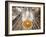 Spain, Barcelona, Sagrada Familia, Interior-Steve Vidler-Framed Photographic Print