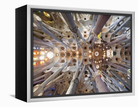 Spain, Barcelona, Sagrada Familia, Interior-Steve Vidler-Framed Premier Image Canvas