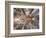 Spain, Barcelona, Sagrada Familia, Interior-Steve Vidler-Framed Photographic Print