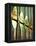 Spain, Barcelona, Sagrada Familia, Organ-Steve Vidler-Framed Premier Image Canvas