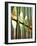 Spain, Barcelona, Sagrada Familia, Organ-Steve Vidler-Framed Photographic Print