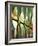 Spain, Barcelona, Sagrada Familia, Organ-Steve Vidler-Framed Photographic Print