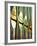 Spain, Barcelona, Sagrada Familia, Organ-Steve Vidler-Framed Photographic Print