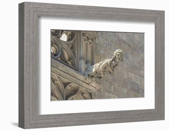 Spain, Barcelona, Stone Carving, Gargoyle-Jim Engelbrecht-Framed Photographic Print