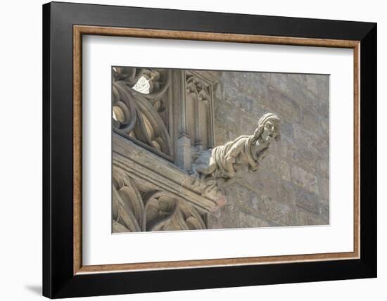 Spain, Barcelona, Stone Carving, Gargoyle-Jim Engelbrecht-Framed Photographic Print