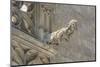 Spain, Barcelona, Stone Carving, Gargoyle-Jim Engelbrecht-Mounted Photographic Print