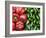 Spain, Barcelona, the Ramblas, la Boqueria Market, Vegetable Shop Display of Peppers-Steve Vidler-Framed Photographic Print