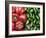 Spain, Barcelona, the Ramblas, la Boqueria Market, Vegetable Shop Display of Peppers-Steve Vidler-Framed Photographic Print