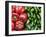 Spain, Barcelona, the Ramblas, la Boqueria Market, Vegetable Shop Display of Peppers-Steve Vidler-Framed Photographic Print