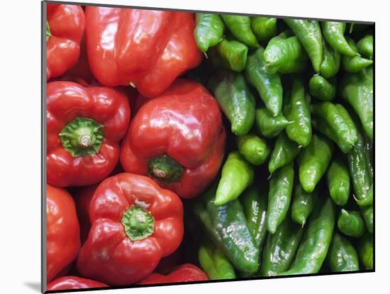 Spain, Barcelona, the Ramblas, la Boqueria Market, Vegetable Shop Display of Peppers-Steve Vidler-Mounted Photographic Print