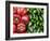 Spain, Barcelona, the Ramblas, la Boqueria Market, Vegetable Shop Display of Peppers-Steve Vidler-Framed Photographic Print