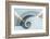 Spain, Bilbao, White and Grey Spiral Staircase-Rob Tilley-Framed Photographic Print