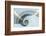 Spain, Bilbao, White and Grey Spiral Staircase-Rob Tilley-Framed Photographic Print