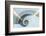 Spain, Bilbao, White and Grey Spiral Staircase-Rob Tilley-Framed Photographic Print