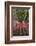 Spain, Canary Islands, La Gomera, San Sebastian De La Gomera, Cactus Detail-Walter Bibikow-Framed Photographic Print