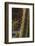 Spain, Canary Islands, Lanzarote, Guatiza, Cactus Plant Detail-Walter Bibikow-Framed Photographic Print