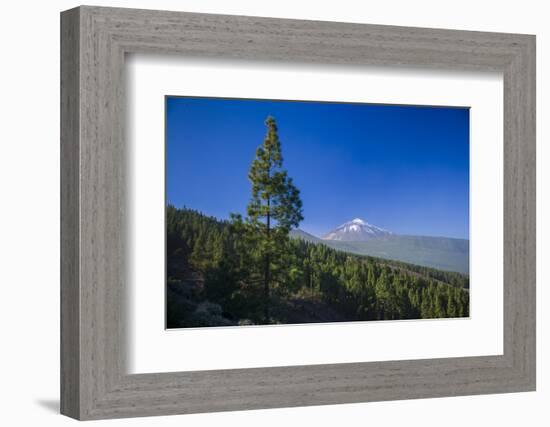 Spain, Canary Islands, Tenerife, Valle De La Orotava, View of the Pico Del Teide-Walter Bibikow-Framed Photographic Print