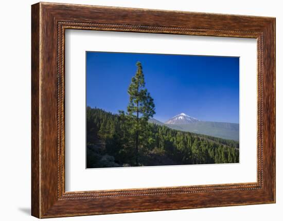 Spain, Canary Islands, Tenerife, Valle De La Orotava, View of the Pico Del Teide-Walter Bibikow-Framed Photographic Print