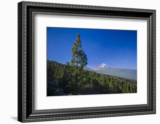 Spain, Canary Islands, Tenerife, Valle De La Orotava, View of the Pico Del Teide-Walter Bibikow-Framed Photographic Print