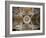 Spain, Castilla Y Leon Region, Salamanca Province, Salamanca, Salamanca Cathedrals, Ceiling-Walter Bibikow-Framed Photographic Print