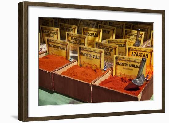 Spain, Granada. Spices for sale at an outdoor market in Granada.-Julie Eggers-Framed Photographic Print