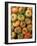 Spain, Madrid, Plaza De San Miguel, Mercado De San Miguel, Artisan Food Marketplace, Heirloom Tomat-Walter Bibikow-Framed Photographic Print