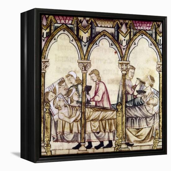 Spain: Medieval Hospital-null-Framed Premier Image Canvas