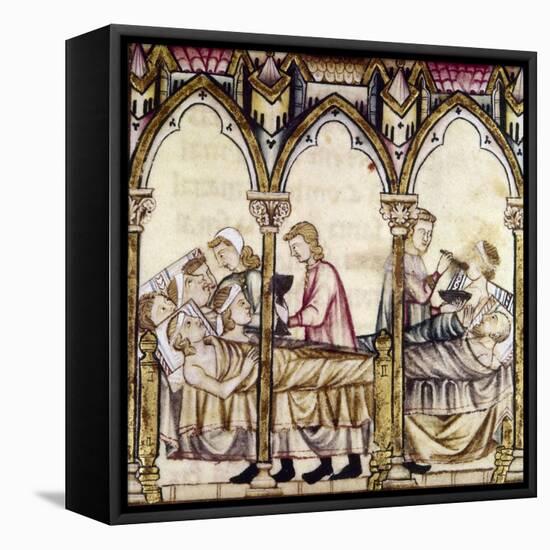 Spain: Medieval Hospital-null-Framed Premier Image Canvas