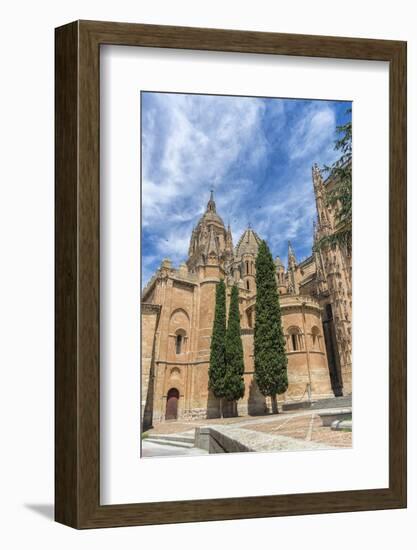 Spain, Salamanca, Cathedral Exterior-Jim Engelbrecht-Framed Photographic Print