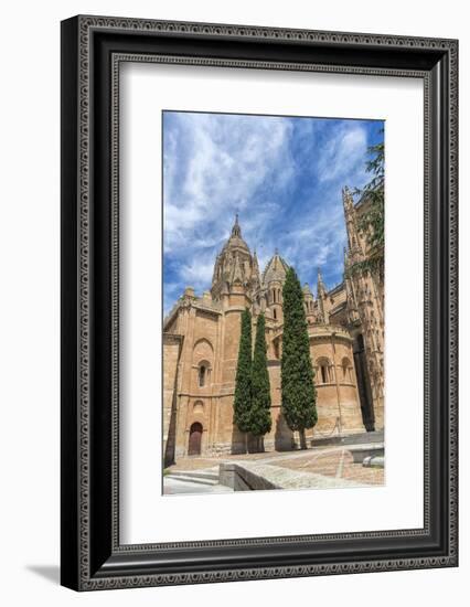 Spain, Salamanca, Cathedral Exterior-Jim Engelbrecht-Framed Photographic Print