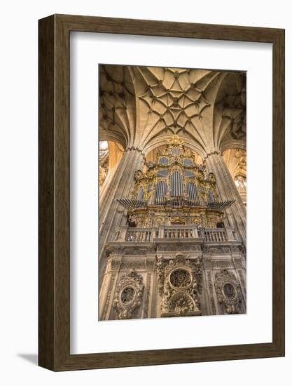 Spain, Salamanca, Cathedral Organ-Jim Engelbrecht-Framed Photographic Print