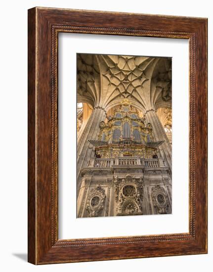 Spain, Salamanca, Cathedral Organ-Jim Engelbrecht-Framed Photographic Print